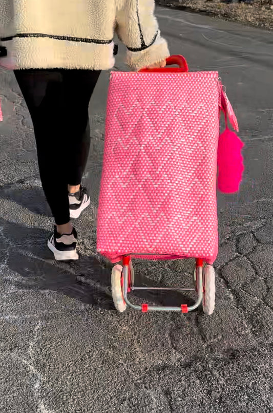 Carrito Artesanal - PINK Hearts Carrito Bag & Cart, MIni Monedero ONLY