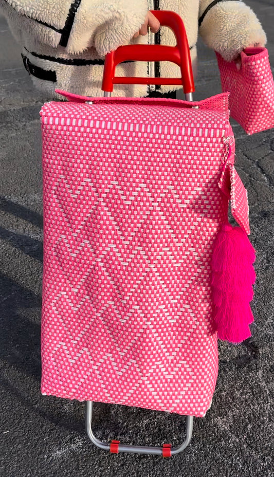Carrito Artesanal - PINK Hearts  Carrito Bag & Cart, MIni Monedero ONLY